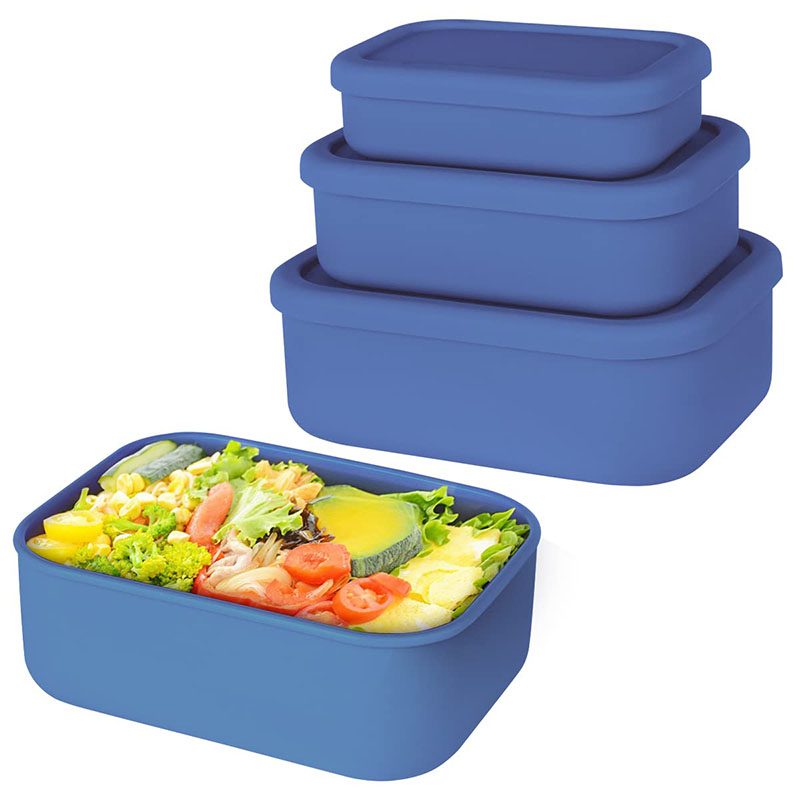 Bento Lunch Box resistente all - Meal Prep Day recensione e prezzo