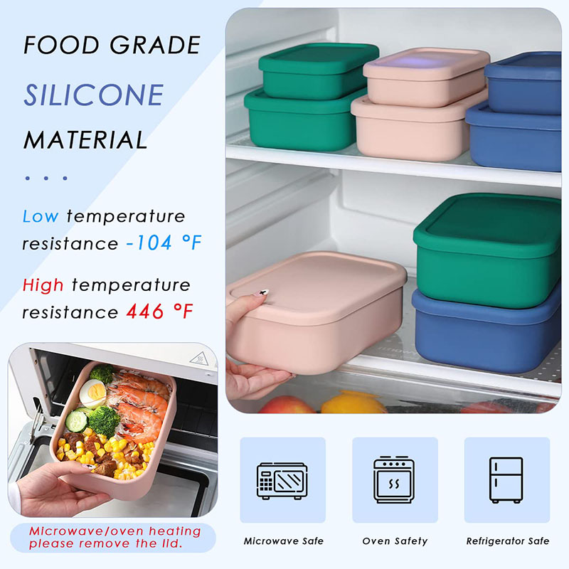 Bento Lunch Box resistente all - Meal Prep Day recensione e prezzo